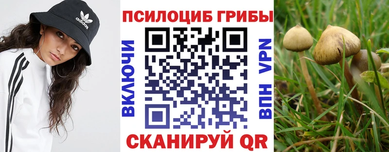 МЕГА ONION Шадринск Галлюциногенные грибы мицелий купить наркотики цена
